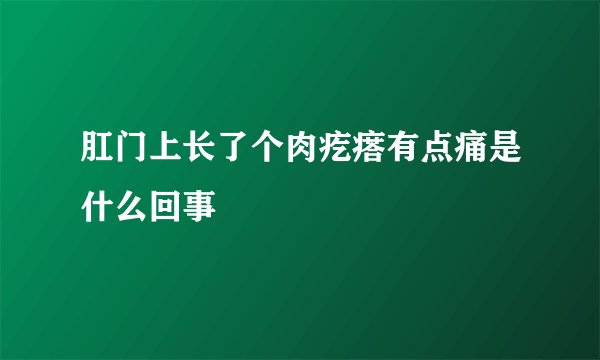 肛门上长了个肉疙瘩有点痛是什么回事