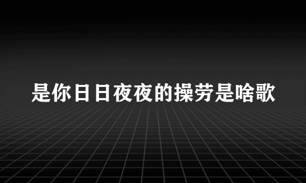 是你日日夜夜的操劳是啥歌
