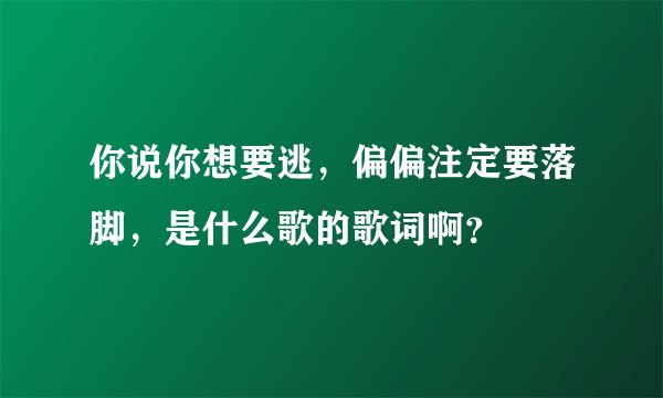 你说你想要逃，偏偏注定要落脚，是什么歌的歌词啊？