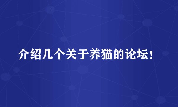 介绍几个关于养猫的论坛！
