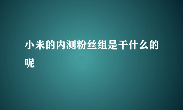 小米的内测粉丝组是干什么的呢