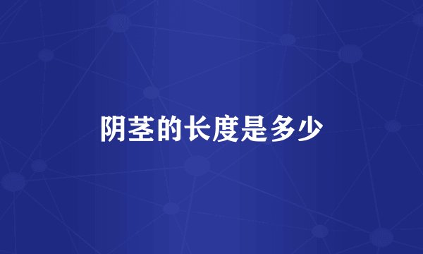 阴茎的长度是多少