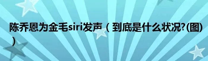 陈乔恩为金毛siri发声(到底是什么状况?(图))