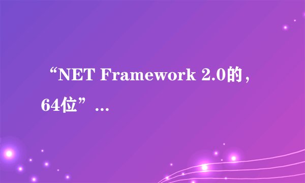 “NET Framework 2.0的, 64位”是什么意思?