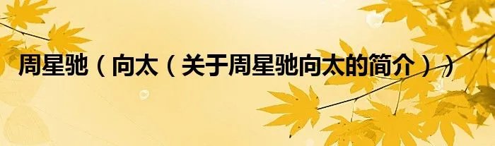 周星驰（向太（关于周星驰向太的简介））