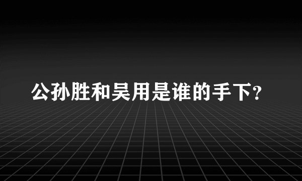 公孙胜和吴用是谁的手下？