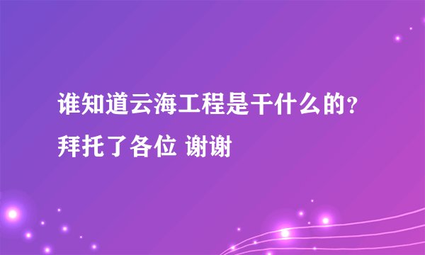 谁知道云海工程是干什么的?拜托了各位 谢谢