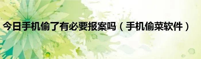 今日手机偷了有必要报案吗（手机偷菜软件）
