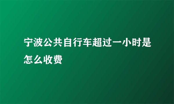 宁波公共自行车超过一小时是怎么收费