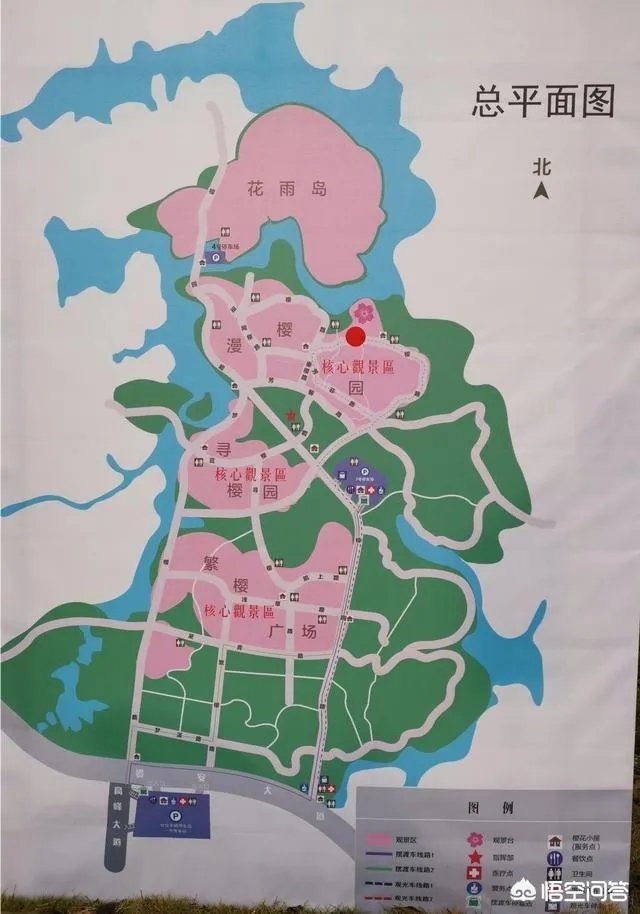 贵州平坝万亩樱花绽放,美爆了这个春天,有去过的吗?有旅游攻略路线吗?