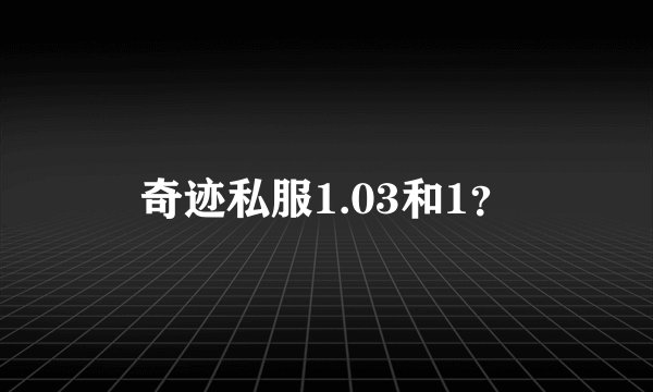 奇迹私服1.03和1?