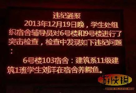 学生宿舍养鳄鱼当宠物 盘点让人眼界大开的宿舍