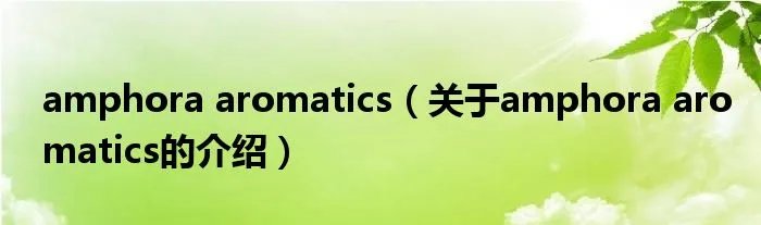 amphora aromatics（关于amphora aromatics的介绍）