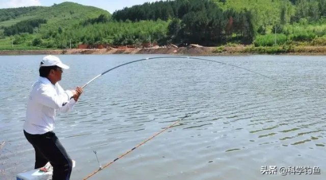 钓鱼人化绍新,李大毛越钓越有钱;更多人“钓鱼穷三年”,请问大家怎么看待这个现象?