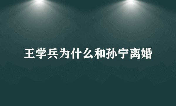 王学兵为什么和孙宁离婚