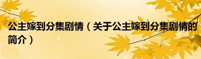 公主嫁到分集剧情(关于公主嫁到分集剧情的简介)