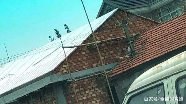 永安一村民在建房坍塌,致8死2伤,从这起惨剧中该吸取哪些教训?