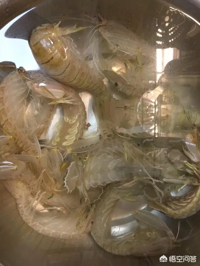 韩国网友号召为螺蛳粉申请非遗:“螺蛳粉有传统韩国口味的灵魂”对此你怎么看?