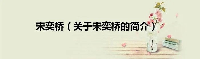 宋奕桥（关于宋奕桥的简介）