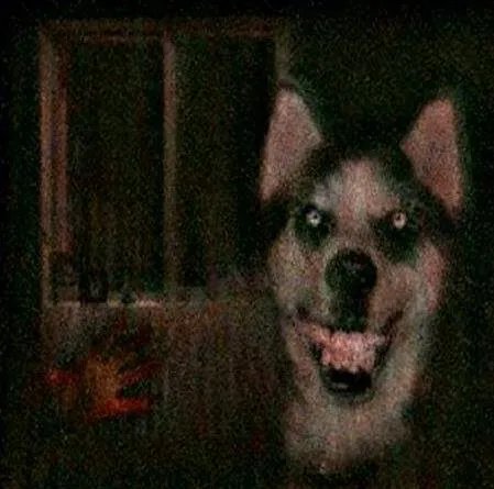 smile.jpg搜smile dog五秒动态图后悔了(背后有故事)