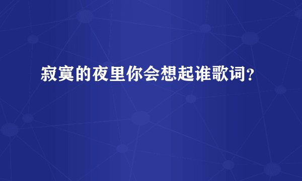 寂寞的夜里你会想起谁歌词？
