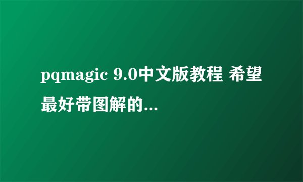 pqmagic 9.0中文版教程 希望最好带图解的！！谢谢了！！急急急急急！