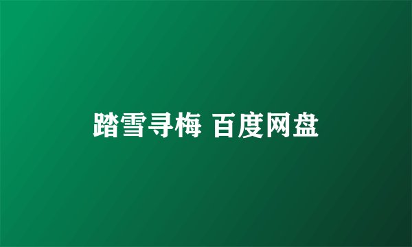 踏雪寻梅 百度网盘