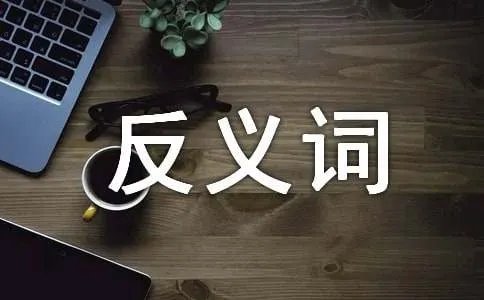 静谧的近反义词有哪些_静谧怎么造句