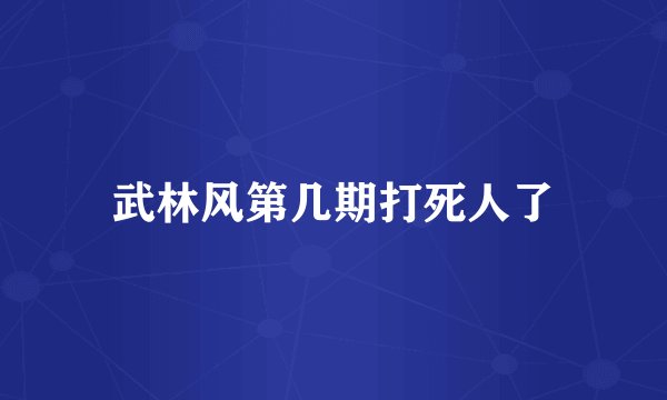 武林风第几期打死人了