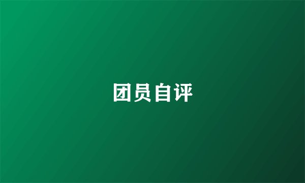 团员自评