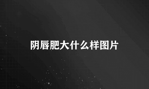 阴唇肥大什么样图片