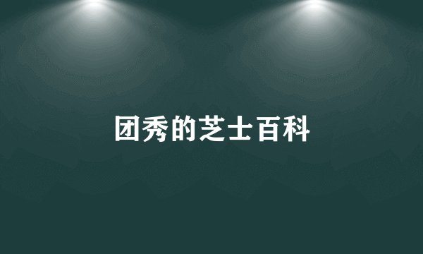 团秀的芝士百科