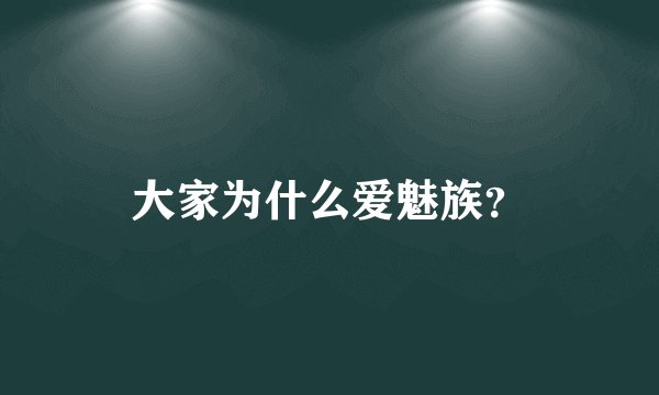 大家为什么爱魅族？