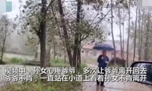孙女返程爷爷雨中相送不肯离开是怎么回事?