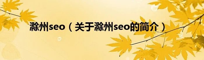 滁州seo（关于滁州seo的简介）