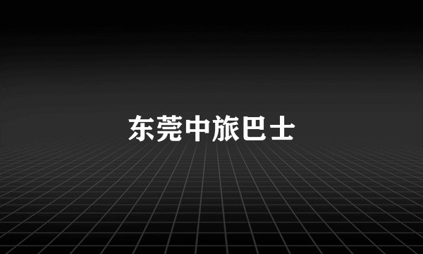 东莞中旅巴士