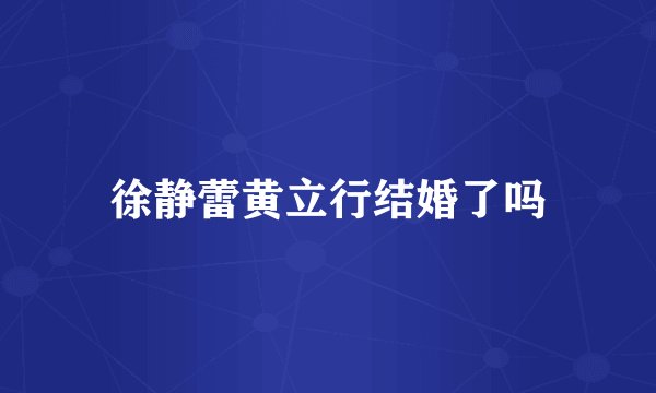 徐静蕾黄立行结婚了吗