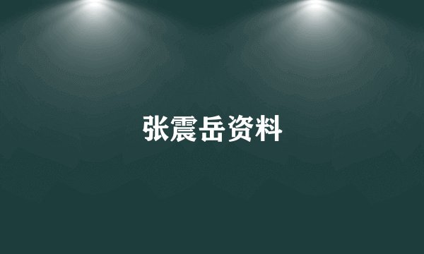 张震岳资料