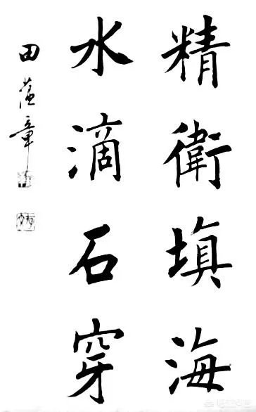 如何看待书法家田蕴章录制新的书法视频讲座，并在宁波某小学现场讲解书法问题这件会？