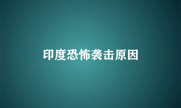 印度恐怖袭击原因