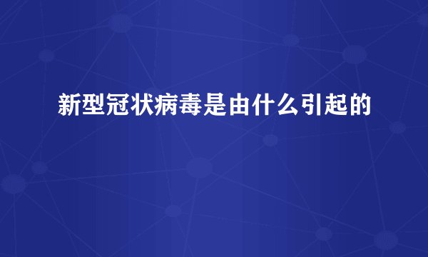 新型冠状病毒是由什么引起的