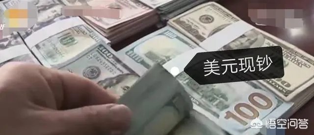上海一公交车司机捡到10万美金,最终找到失主是一名有精神病史的老人,这事你怎么看?