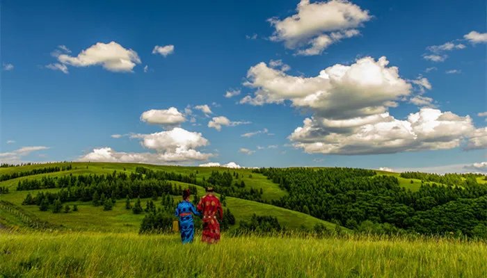 人称平头哥的动物是什么 人称平头哥的动物是什么动物