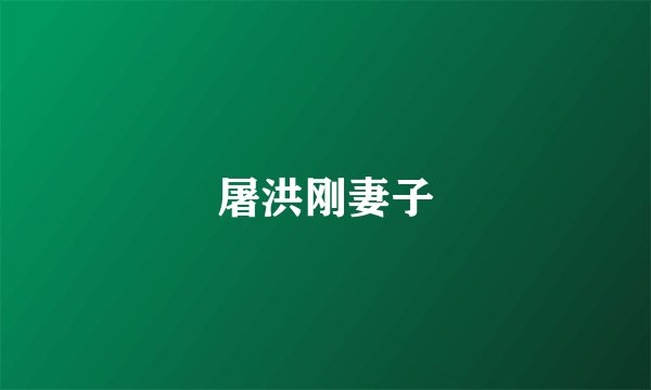 屠洪刚妻子