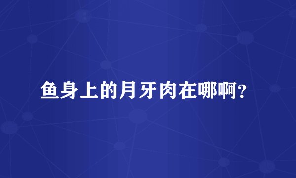 鱼身上的月牙肉在哪啊？