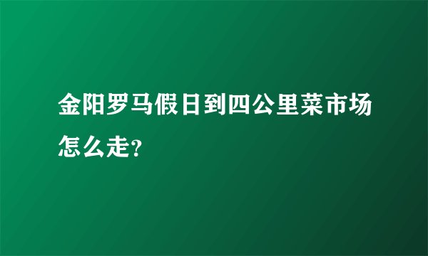 金阳罗马假日到四公里菜市场怎么走？