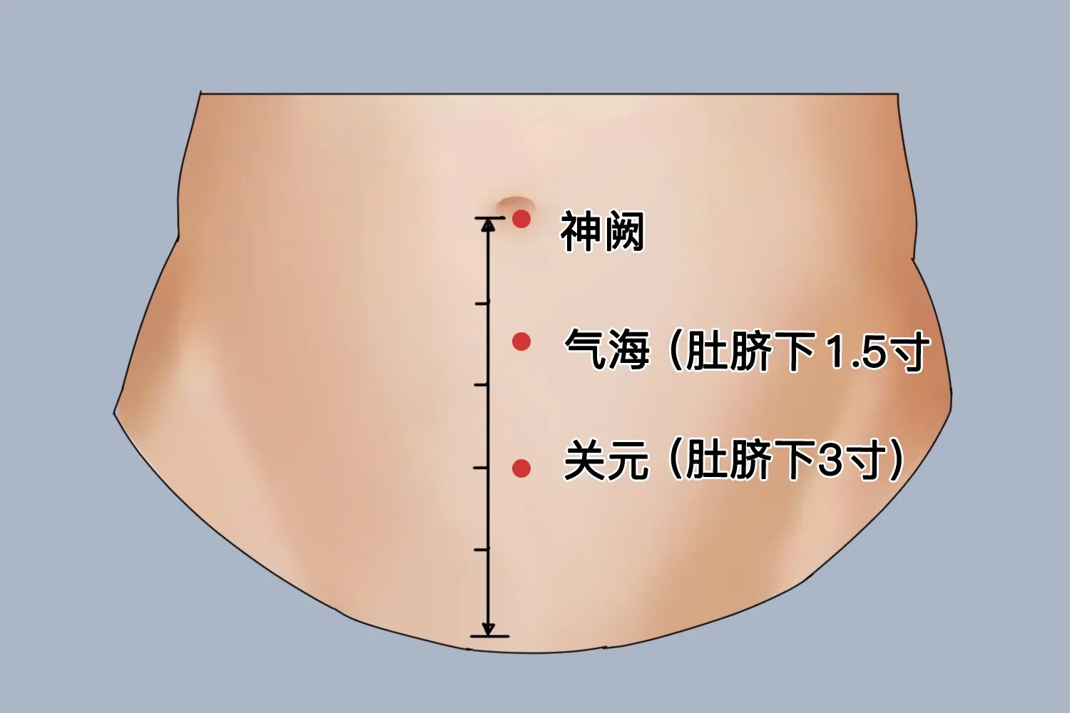 气海关元中极的准确位置图和作用