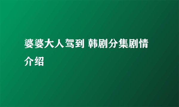 婆婆大人驾到 韩剧分集剧情介绍
