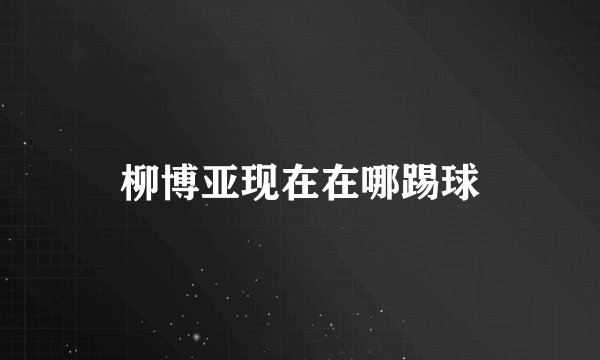 柳博亚现在在哪踢球