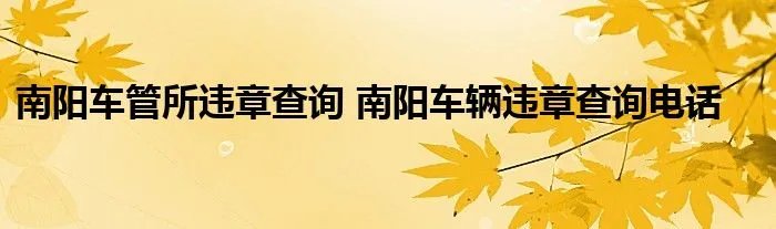 南阳车管所违章查询 南阳车辆违章查询电话